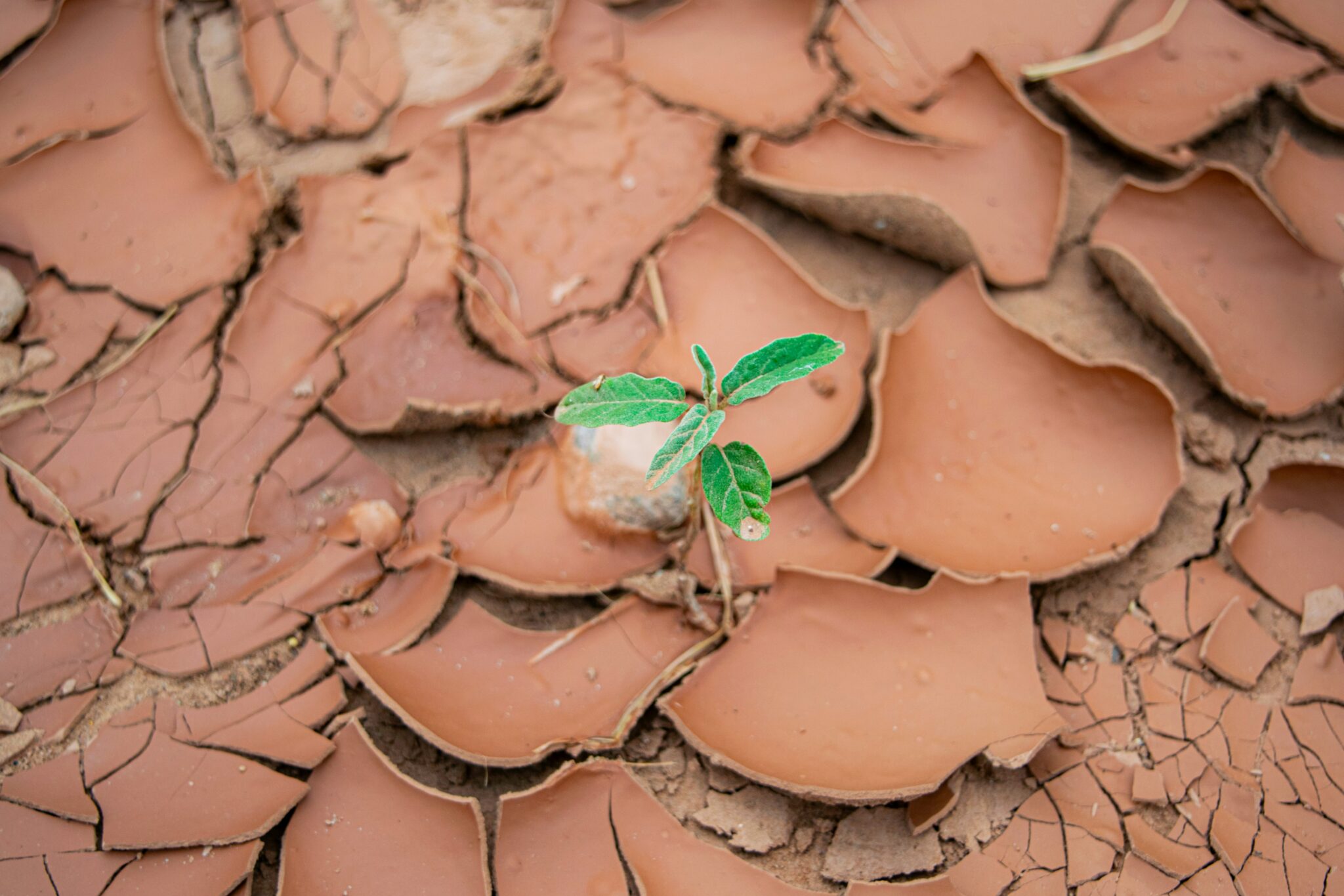 klimatski promeni - globalno zatopluvanje - foto clark-wilson-unsplash