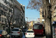 skopje soobrakjaj