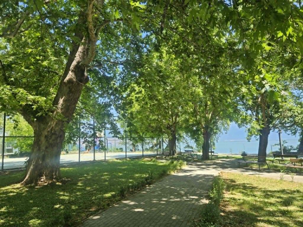 Gradskiot park vo Dojran