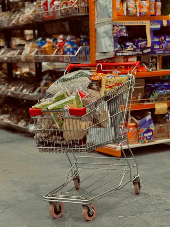 Kolicka za pazarenje vo supermarket, foto asthetic-slut-unsplash