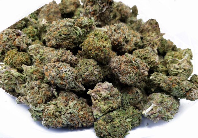 bulkbuddy-black-nuken-4946946 Canabis