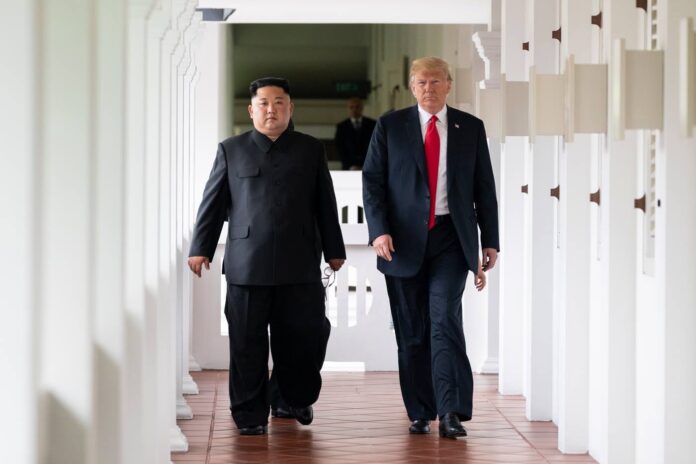 tramp i kim - foto Belata kukja