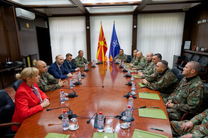 Професионални војници